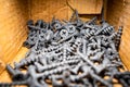 Small black wood screws close-up in a cardboard box Royalty Free Stock Photo