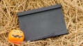 Small blackboard and artificial pumpkins on rice straws with copyspace Royalty Free Stock Photo