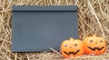 Small blackboard and artificial pumpkins on rice straws with copyspace Royalty Free Stock Photo
