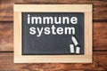 Small blackboard with text Immune System and chalk on wooden background, top view