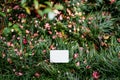 Small blank sign stands on a blooming green lawn Royalty Free Stock Photo