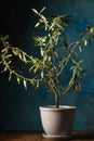A small blooming olive tree in a rustic style