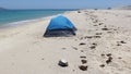 Small blue-and-black camping tent on a sandy beach, Punta Arena de La Ventana, BCS, Mexico