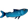 Small blue fish