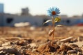 a small blue flower growing out of the dirt
