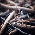 a small blue flower is growing out of a pile of twigs