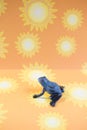 Small Blue Frog Sunshine Background Royalty Free Stock Photo