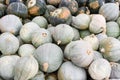 Small blue hubbard squash at the market Royalty Free Stock Photo