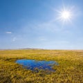 small blue pond among grass prairie at sunny day