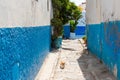 Small blue street in old Town, Medina of Rabat, Morocco. Narrow romantic street between buildings in Moroccan town Royalty Free Stock Photo