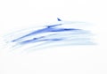 Small of blue stroke paint brush on white paper. Royalty Free Stock Photo