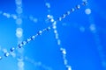 blue water droplets hang on fishing line Royalty Free Stock Photo