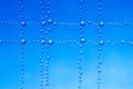 small blue water droplets hanging on fishing line Royalty Free Stock Photo