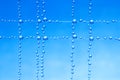 small blue water droplets hanging on fishing line Royalty Free Stock Photo