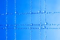 small blue water droplets hanging on fishing line Royalty Free Stock Photo