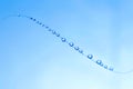 small blue water droplets hanging on fishing line