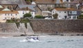 Small boat ferrying passengers across choppy sea from Marazion to St Michael`s Mount in Marazion, Cornwall, UK
