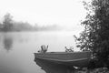 Small Boat By Foggy River