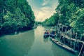 Boat in mangrove forest Rayong,Thailand Royalty Free Stock Photo