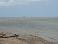 Small boat sailing in sea with mangrove forest in back. Royalty Free Stock Photo