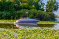 A small boat sandwiched between carpets of lotus flower and lily pads on Carter Lake Iowa