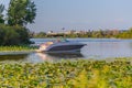 A small boat sandwiched between carpets of lotus flower and lily pads on Carter Lake Iowa