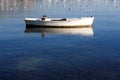 Small boat and seagulls Royalty Free Stock Photo