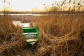 Small boat on the shore in the reeds Royalty Free Stock Photo