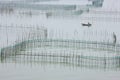 The Small boat shuttling between the sea fish farms Royalty Free Stock Photo