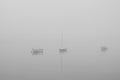 Small boats in a foggy morning Royalty Free Stock Photo