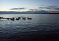 Small boats in the harbor