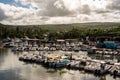 Small Boats in a Marina