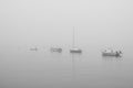 Small boats in a foggy morning Royalty Free Stock Photo