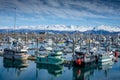 Homer Alaska Fishing Harbor