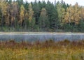 Small bog lake in early autumn morning, fog on the lake surface, dry grass in the foreground, tree reflections in the water, Royalty Free Stock Photo