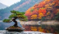 Small bonsai pine tree on a rock with autumn-colored trees reflected in a lake Royalty Free Stock Photo
