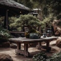 bonsai tree placed on a stone table