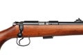 Small-bore rifle .22 lr isolated on white background. Modern .22lr semi-automatic rifle with a wooden butt on a white back.