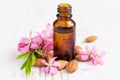 Small bottle of almond oil, almonds and flowers Royalty Free Stock Photo