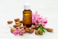 Small bottle of almond oil, almonds and flowers Royalty Free Stock Photo