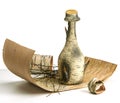Small bottle of birch bark on birch bark, white background Royalty Free Stock Photo