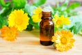 Small bottle with calendula oil Pot marigold extract, tincture, infusion. Aromatherapy, spa and herbal medicine ingredients.