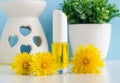 Small Bottle With Cosmetic Oil Massage Cuticle Oil, Tincture, Infusion, Extract And Dandelion Flowers Close Up.