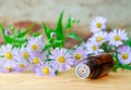 Small bottle of essential aroma oil herbal extract, tincture, infusion, copy space Royalty Free Stock Photo