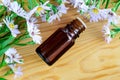 Small bottle of essential aroma oil herbal extract, tincture, infusion, top view Royalty Free Stock Photo