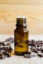 Small bottle with essential clove oil. Aromatherapy, spa and herbal medicine ingredients. Royalty Free Stock Photo