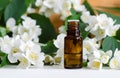 Small bottle of essential jasmine oil. Jasmine blossom flowers background. Royalty Free Stock Photo