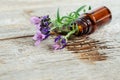 Small bottle with essential lavender oil. Lavandula flowers close up. Aromatherapy, spa and herbal medicine ingredients. Royalty Free Stock Photo