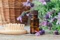 Small bottle with essential lavender oil and wooden hair brush. Lavandula flowers close up. Aromatherapy, spa, natural hair care