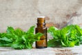 Small bottle with essential mint oil on the old wooden background. Fresh spearmint leaves close up. Aromatherapy and spa. Royalty Free Stock Photo